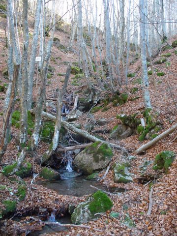 Il fiume Rimonio